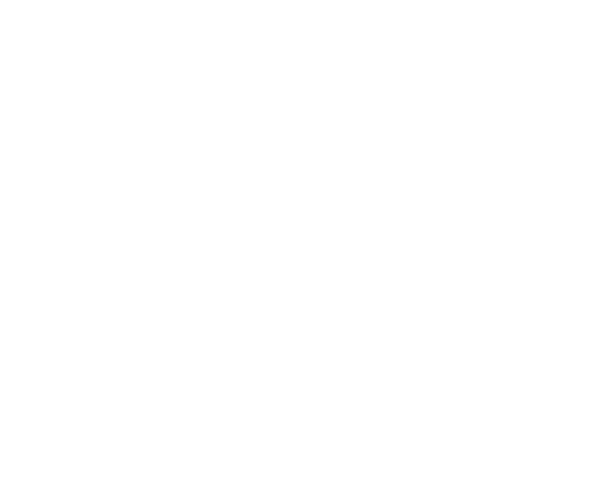 NG Industries